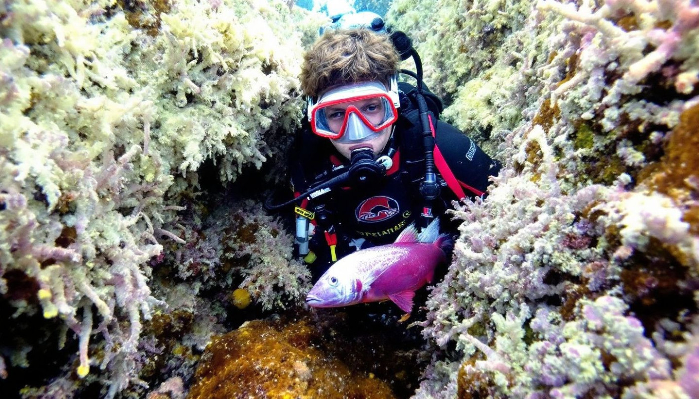 Plongée sous-marine dans l'archipel des Açores spots inexplorés et biodiversité marine